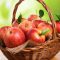 میوه هایی برای کاهش عطش در تابستان