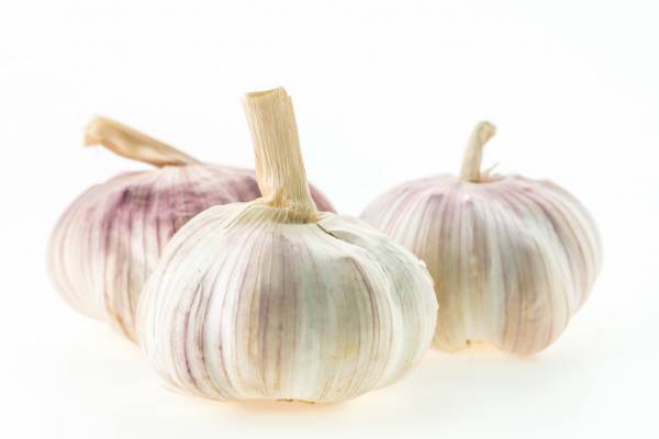 anti-cancerous-garlic-property