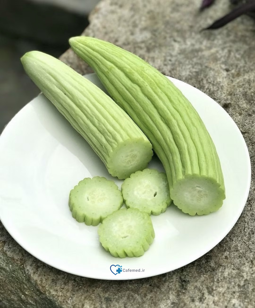 خواص خیار چنبر