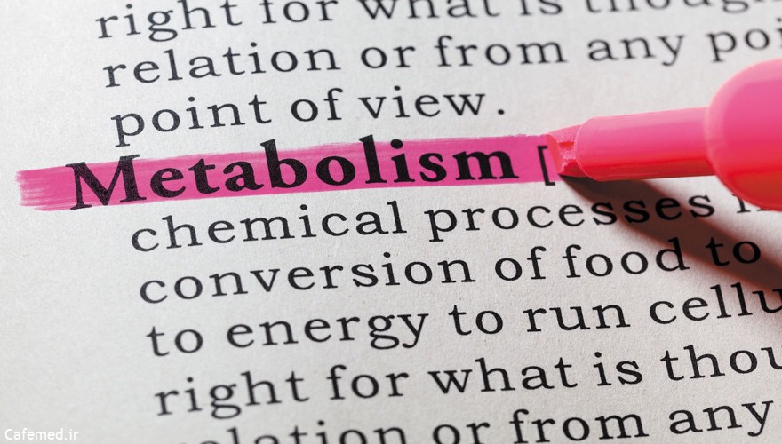 متابولیسم چیست