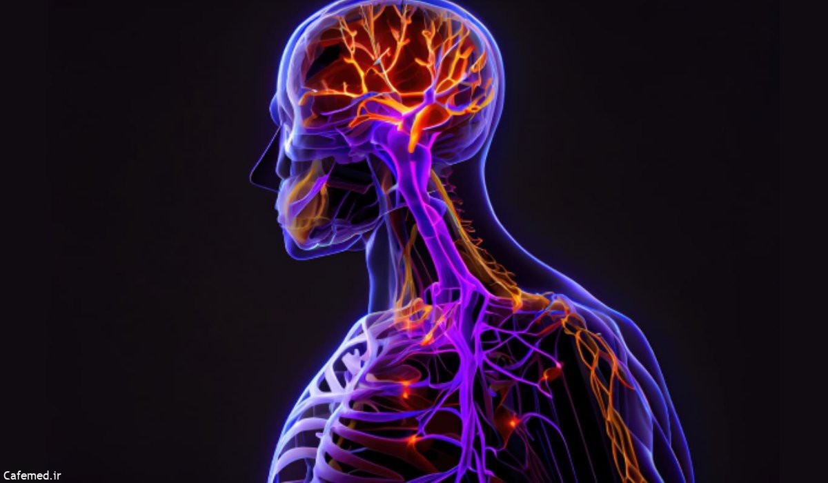 دردهای عصبی ممکن است در بخش های مختلف بدن ظاهر شوند.