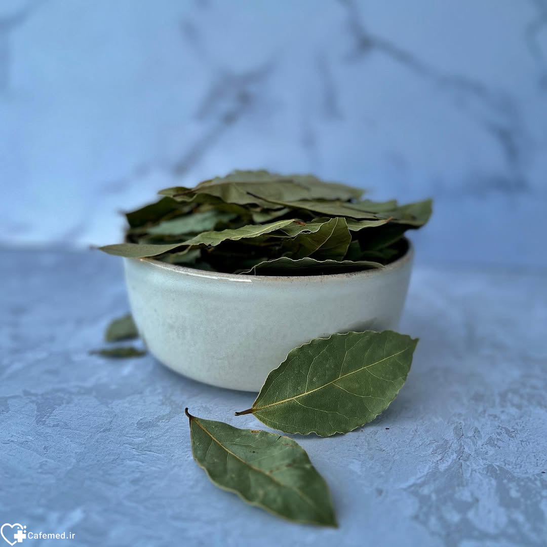 برگ بو